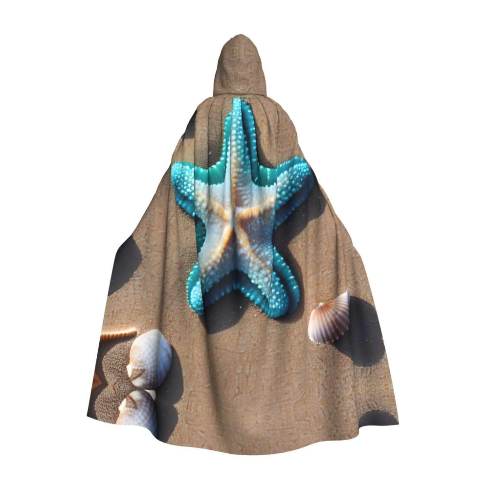 Muscheln Seesterne am Strand
